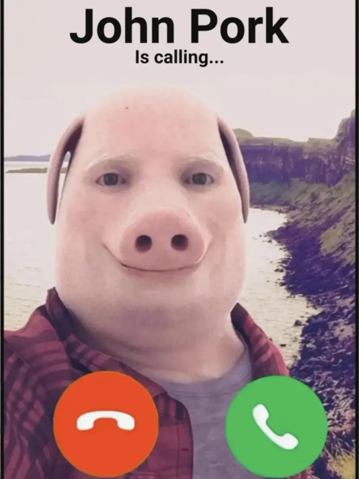 John Pork Is Calling Meme T-Shirt Graphic Print Artwork Detail