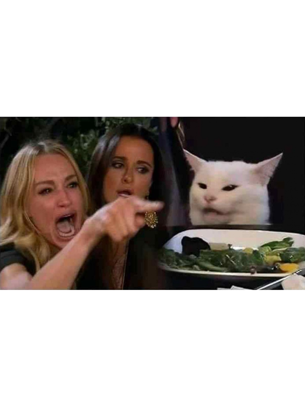 Woman Yelling at Cat T-Shirt Graphic Print Artwork Detail