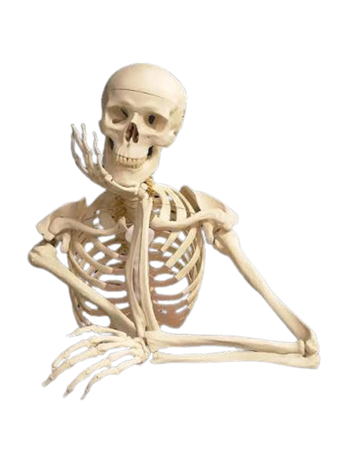 Waiting Skeleton T-Shirt Graphic Print Artwork Detail
