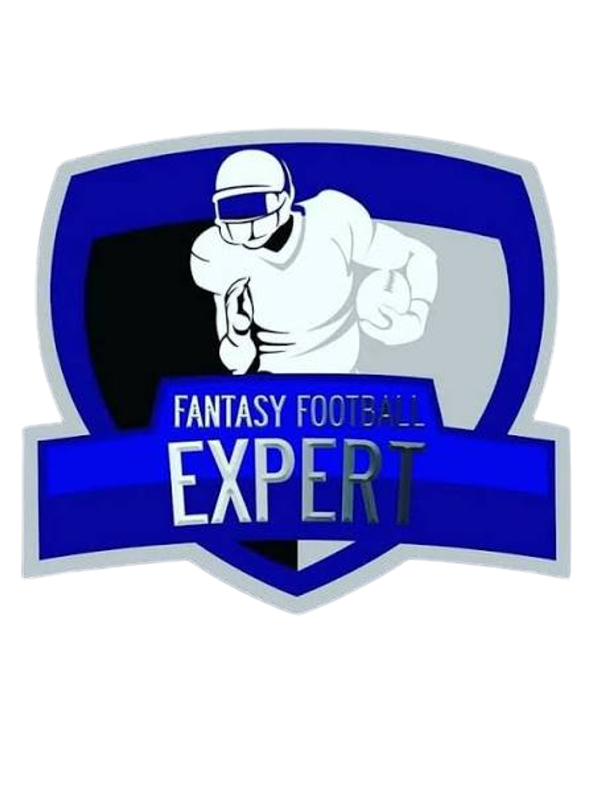 Fantasy Football Expert T-Shirt Graphic Print Artwork Detail