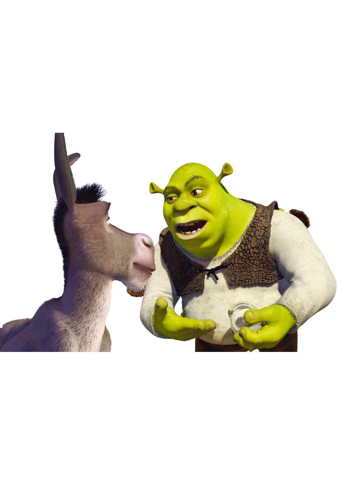 Shrek Onion Layers T-Shirt Graphic Print Artwork Detail