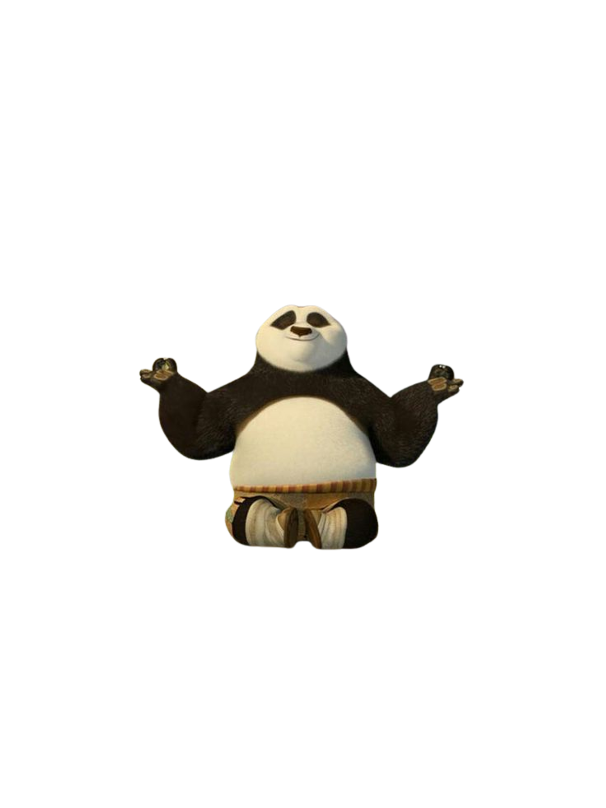 Kung Fu Panda Inner Peace T-Shirt Graphic Print Artwork Detail