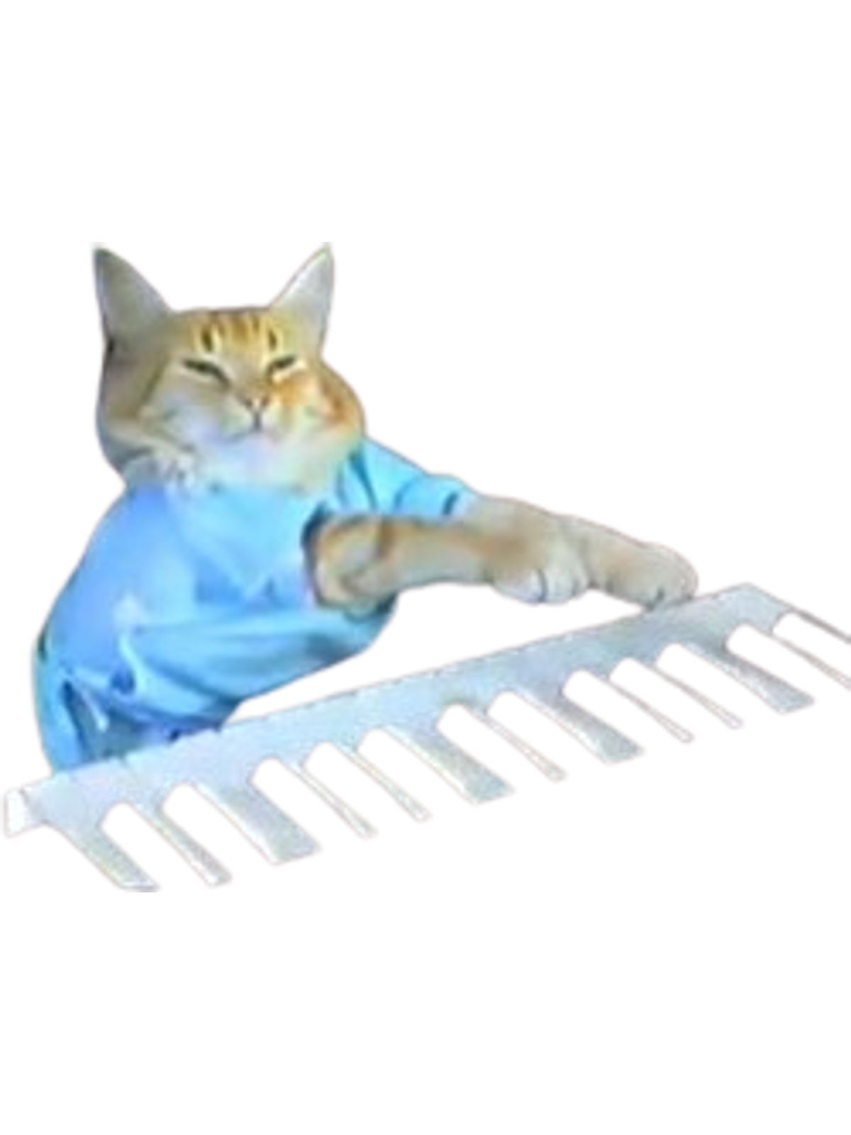 Keyboard Cat: Play Him Off, Keyboard Cat! Graphic Print Artwork Detail