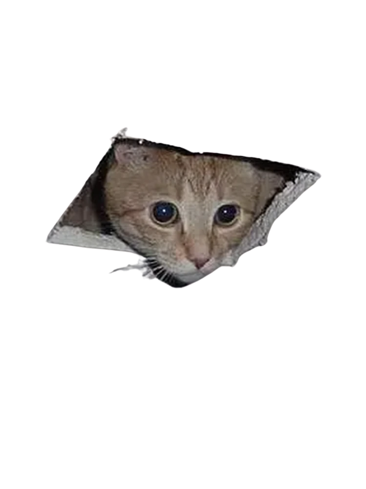 Behold! Ceiling Cat Meme T-Shirt Graphic Print Artwork Detail