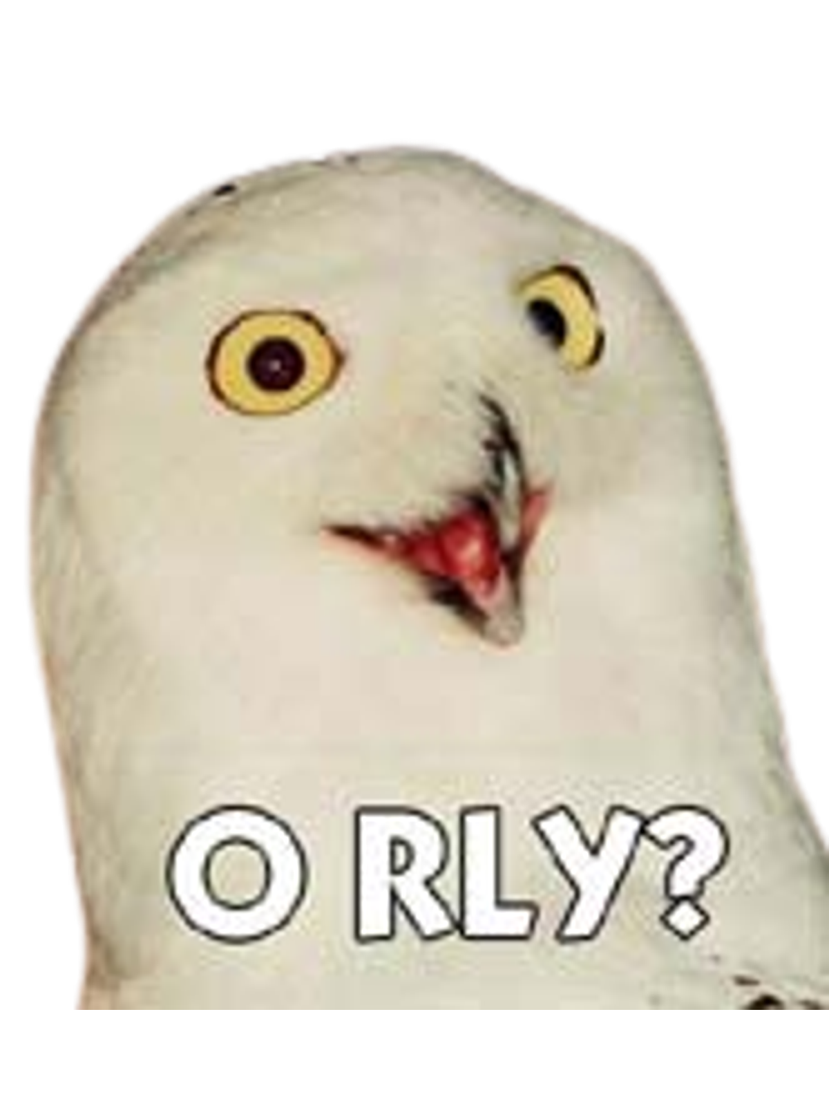 O RLY? Classic Internet Owl Tee Graphic Print Artwork Detail