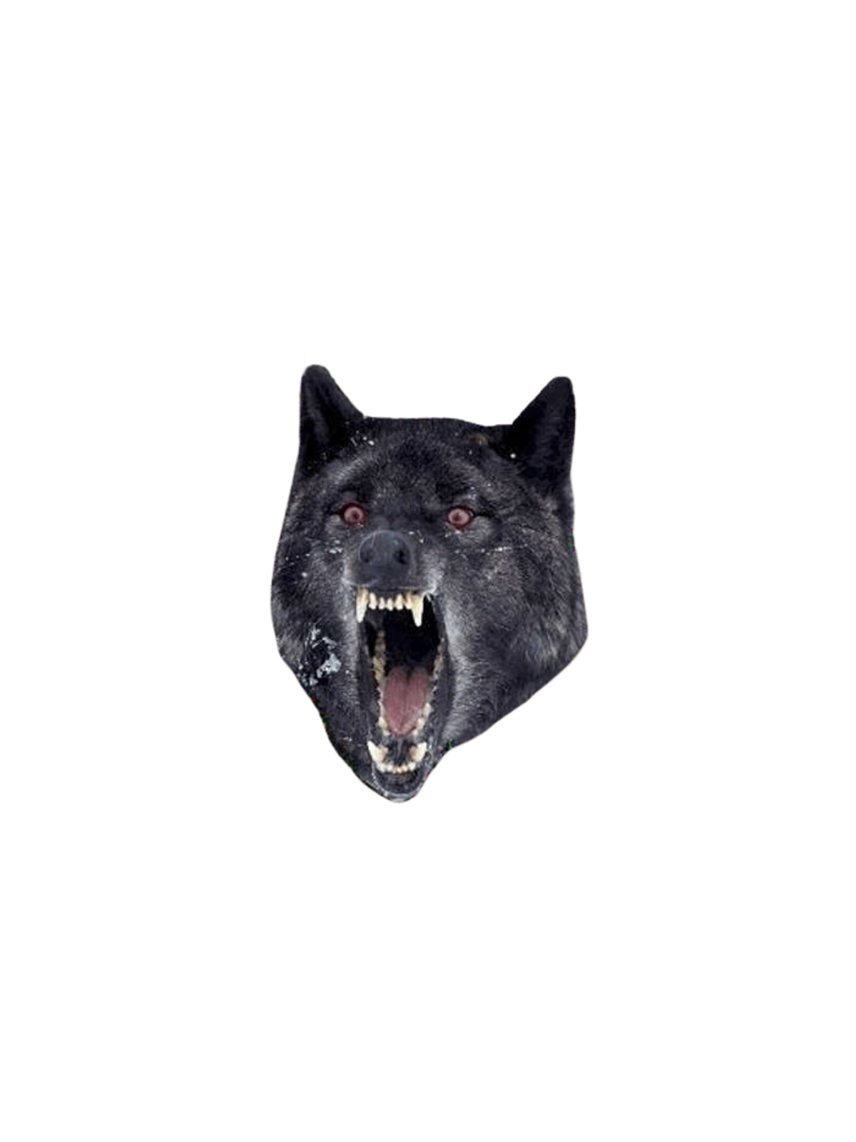 Insanity Wolf: Extreme Meme T-Shirt Graphic Print Artwork Detail