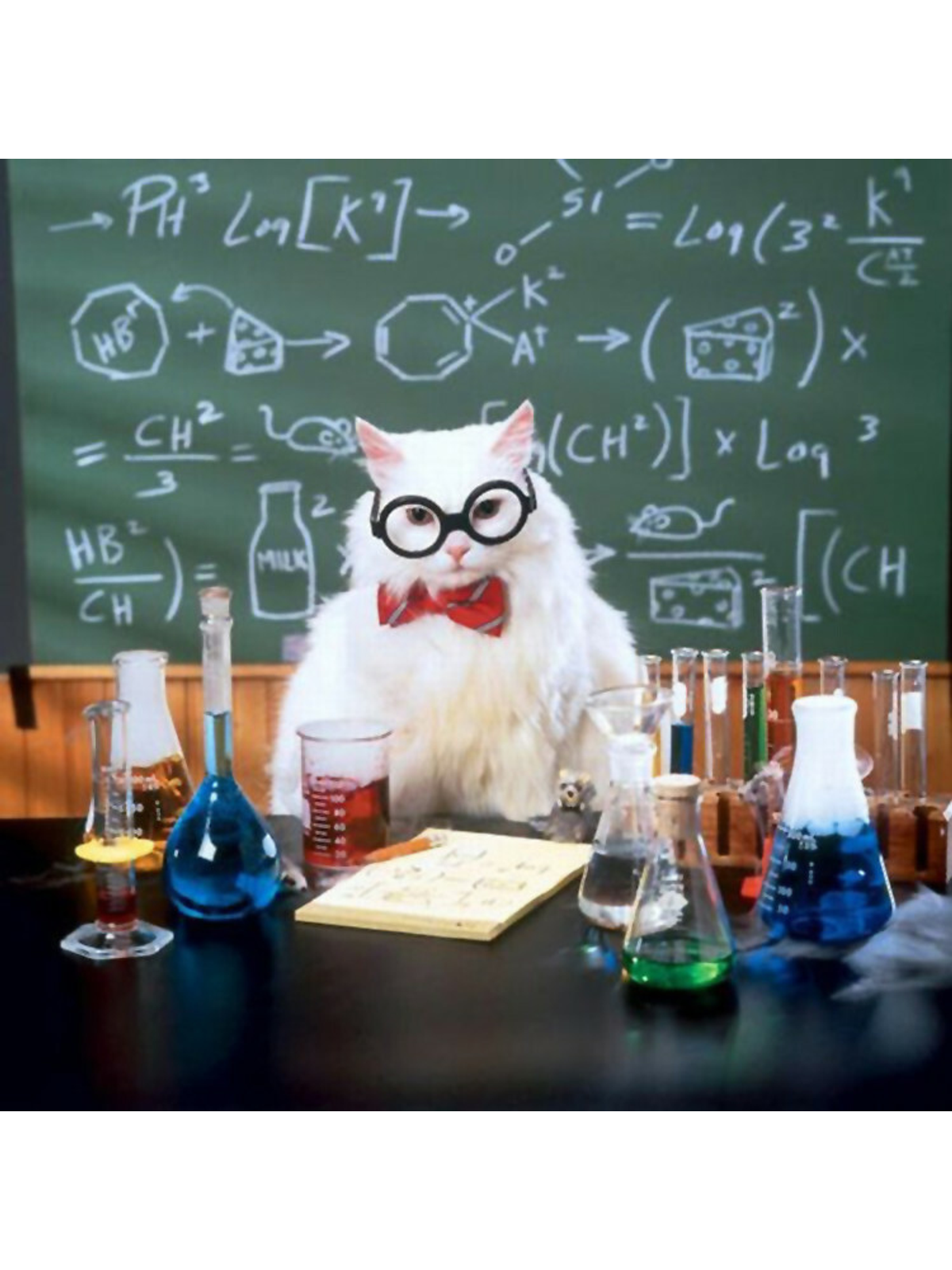 Chemistry Cat: Periodic Table of Puns Tee Graphic Print Artwork Detail