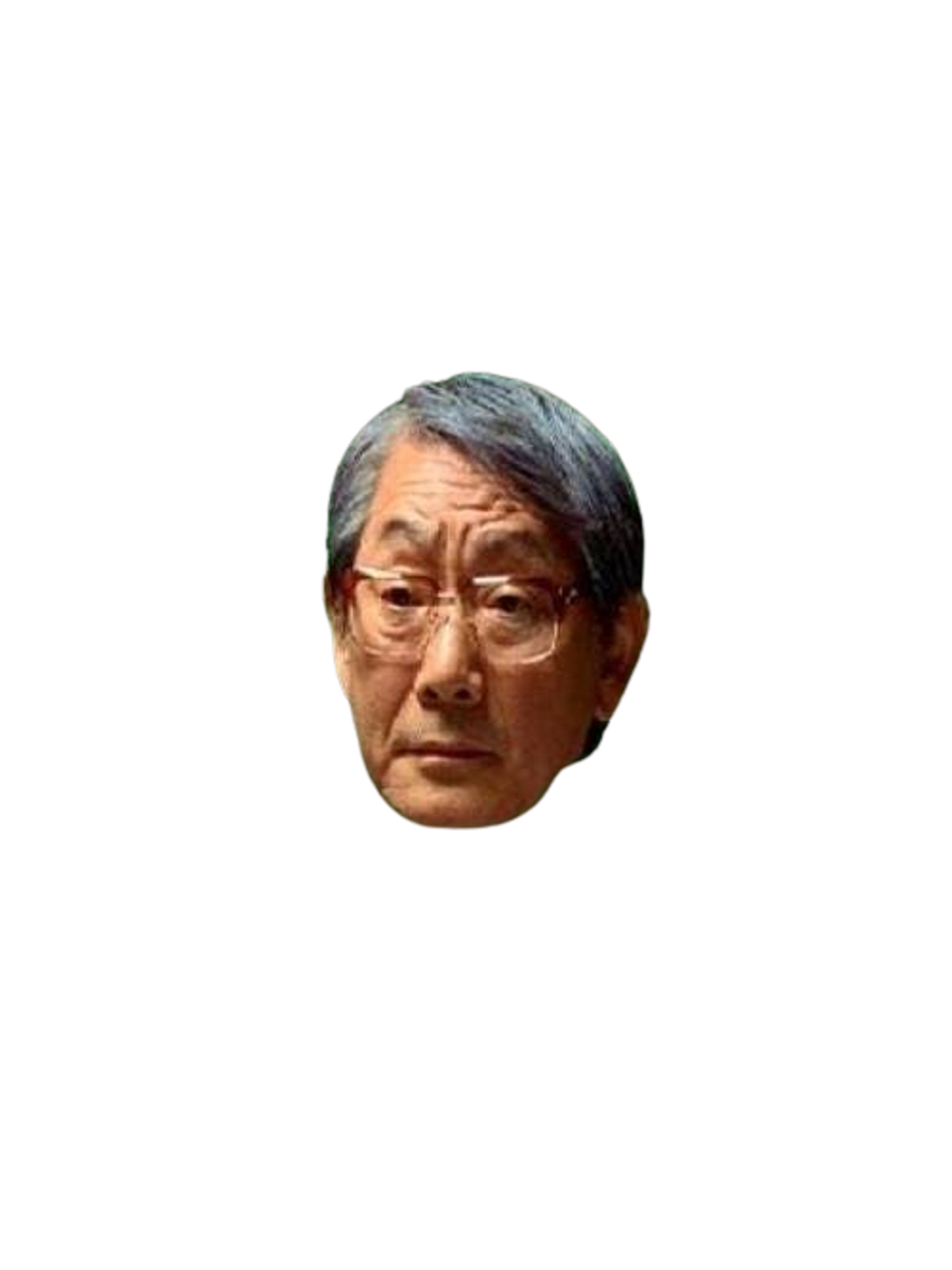High Expectations Asian Dad Meme Tee Graphic Print Artwork Detail