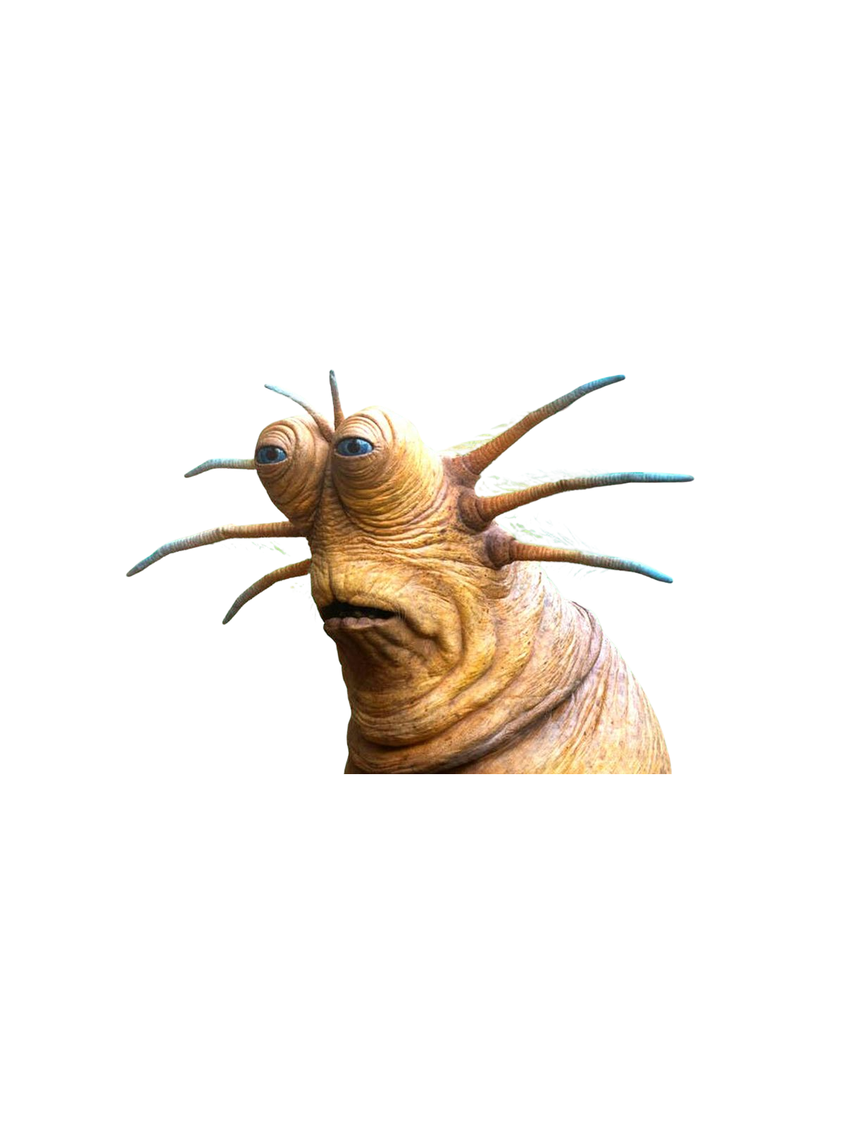 Live Slug Reaction Meme Tee Graphic Print Artwork Detail