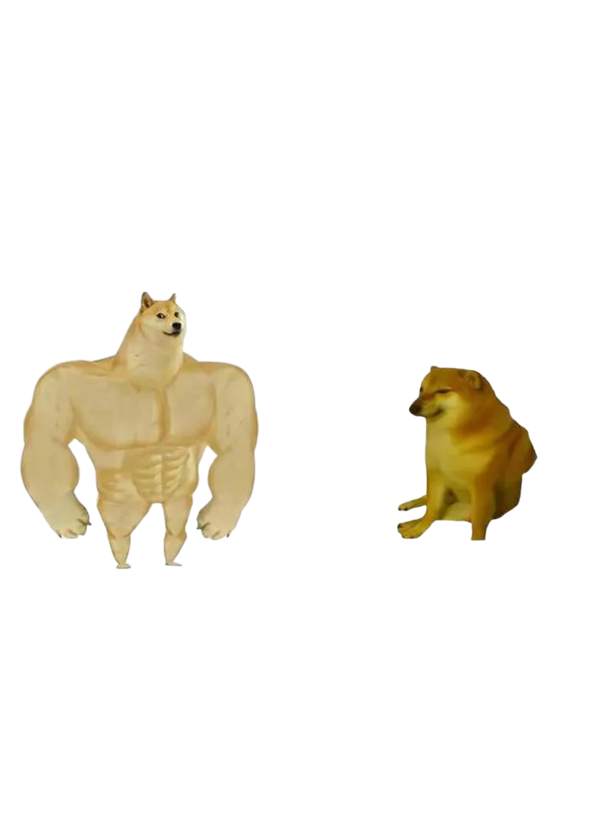 Strong Dog vs. Small Dog Meme Tee Graphic Print Artwork Detail