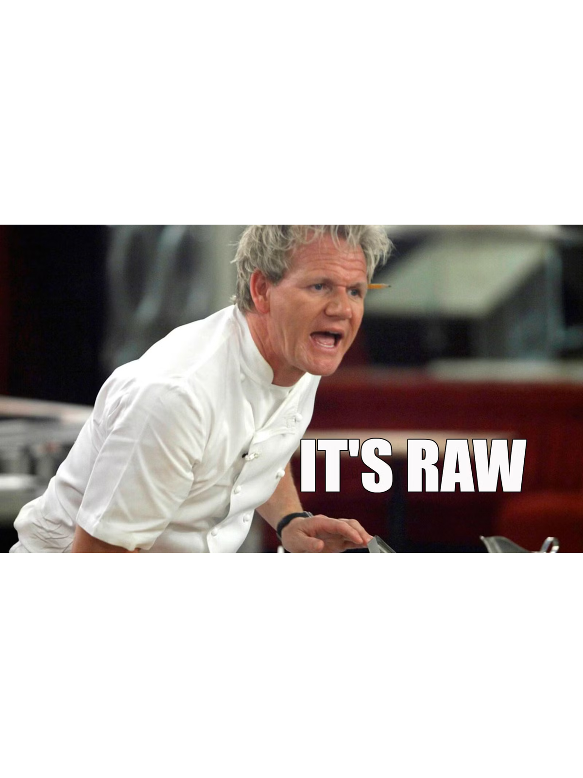 It's RAW! Gordon Ramsay Meme Tee Graphic Print Artwork Detail