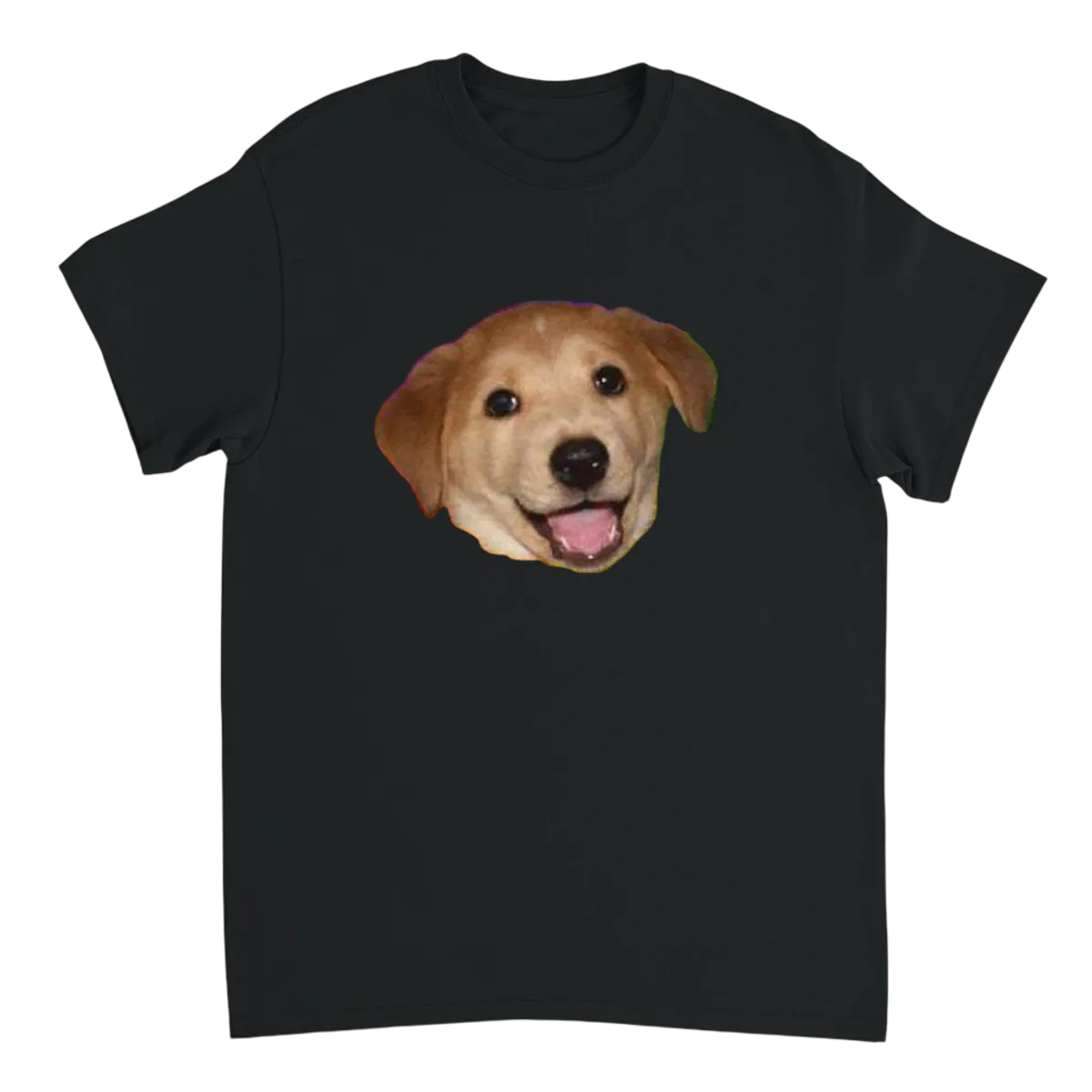 Advice Dog Meme T-Shirt: Original Wisdom