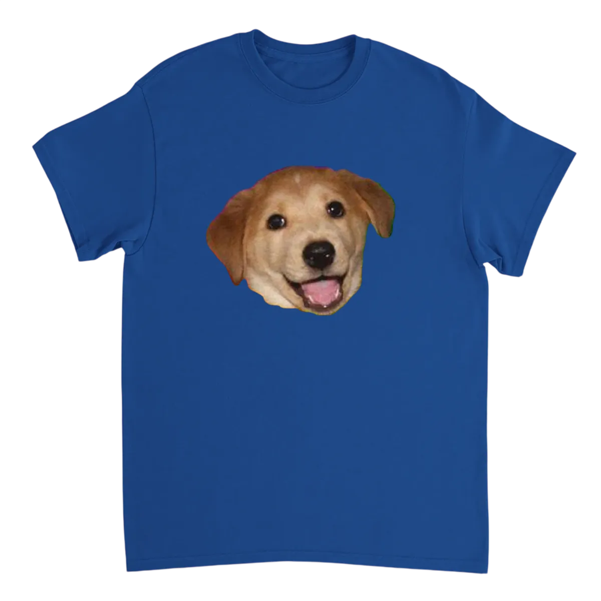 Advice Dog Meme T-Shirt: Original Wisdom