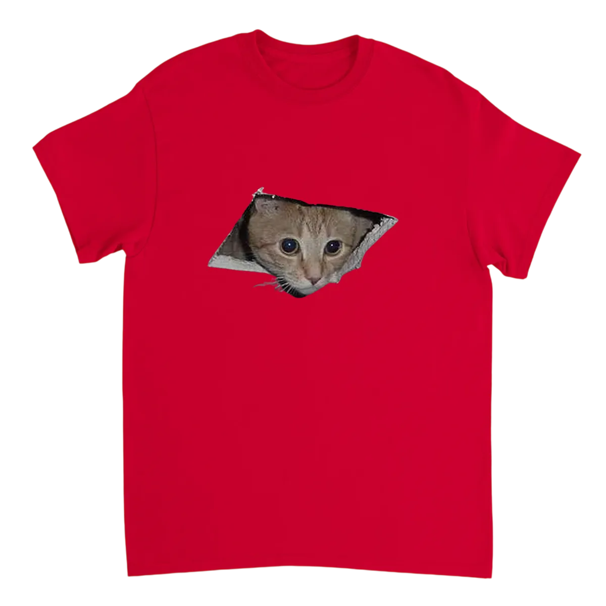 Behold! Ceiling Cat Meme T-Shirt