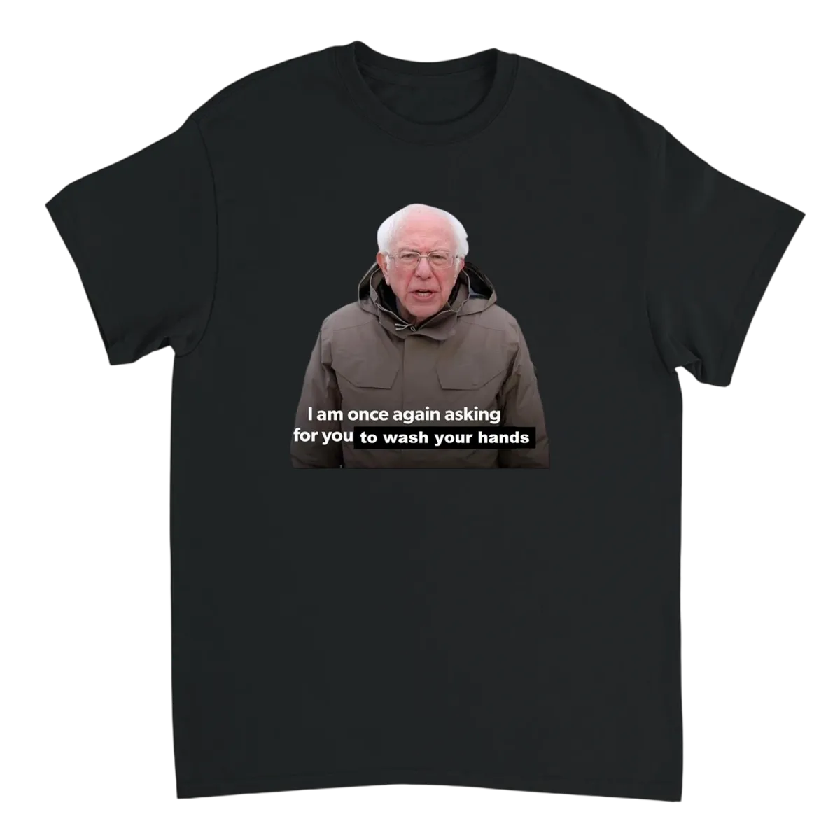 Bernie Once Again Asking T-Shirt T-Shirts - Black