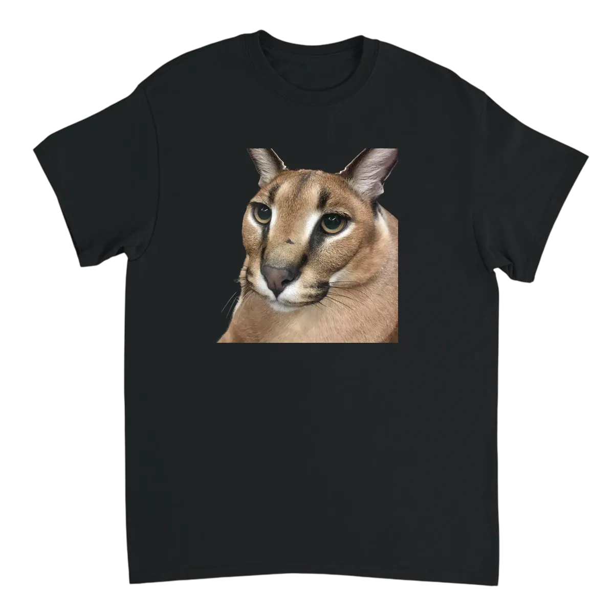 Big Floppa Meme Tee