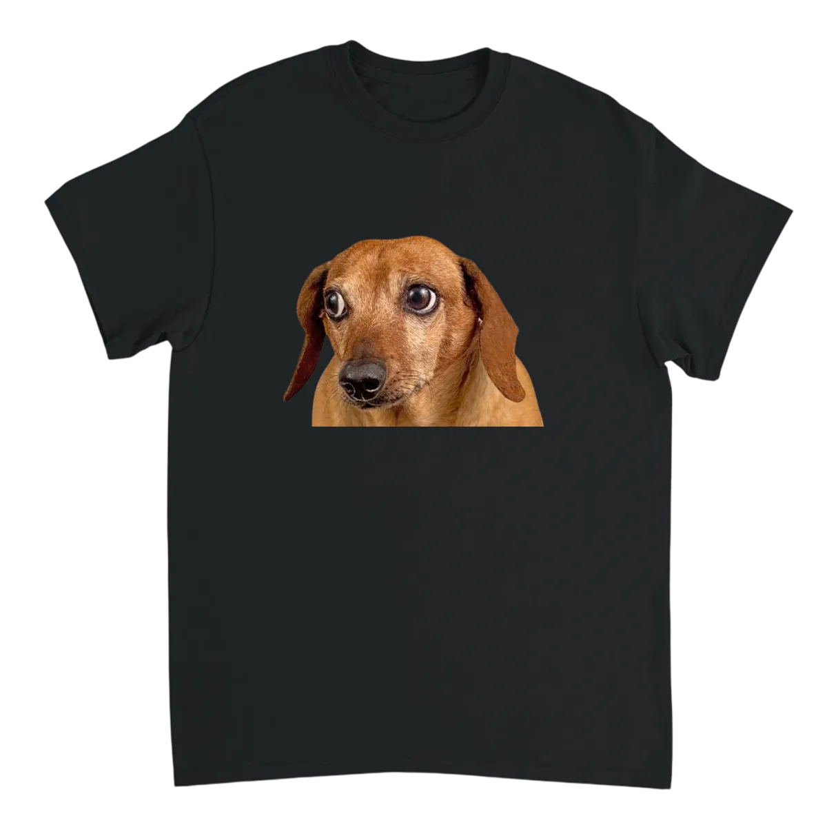 Concerned Dog Meme T-Shirt T-Shirts - Black