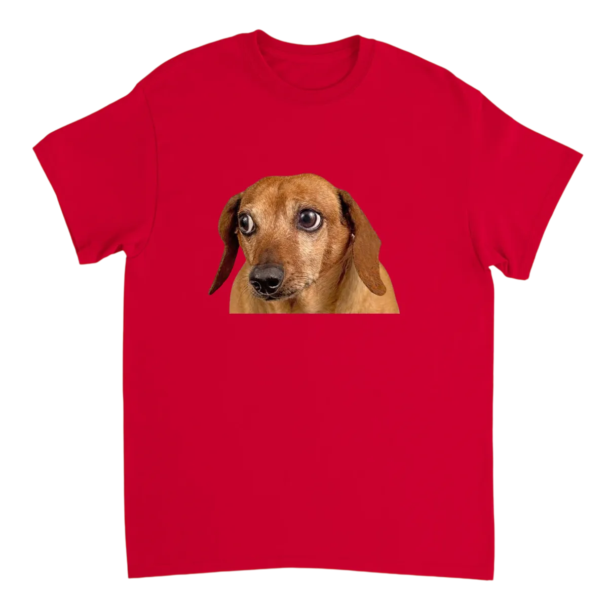 Concerned Dog Meme T-Shirt Black T-Shirts Photo 4
