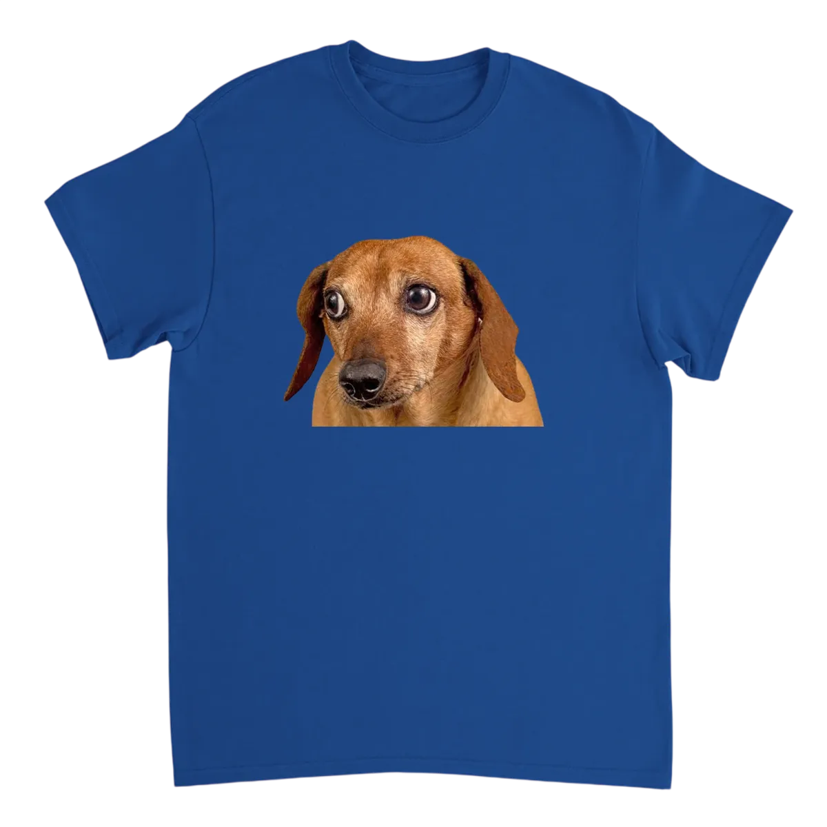 Concerned Dog Meme T-Shirt Black T-Shirts Photo 5