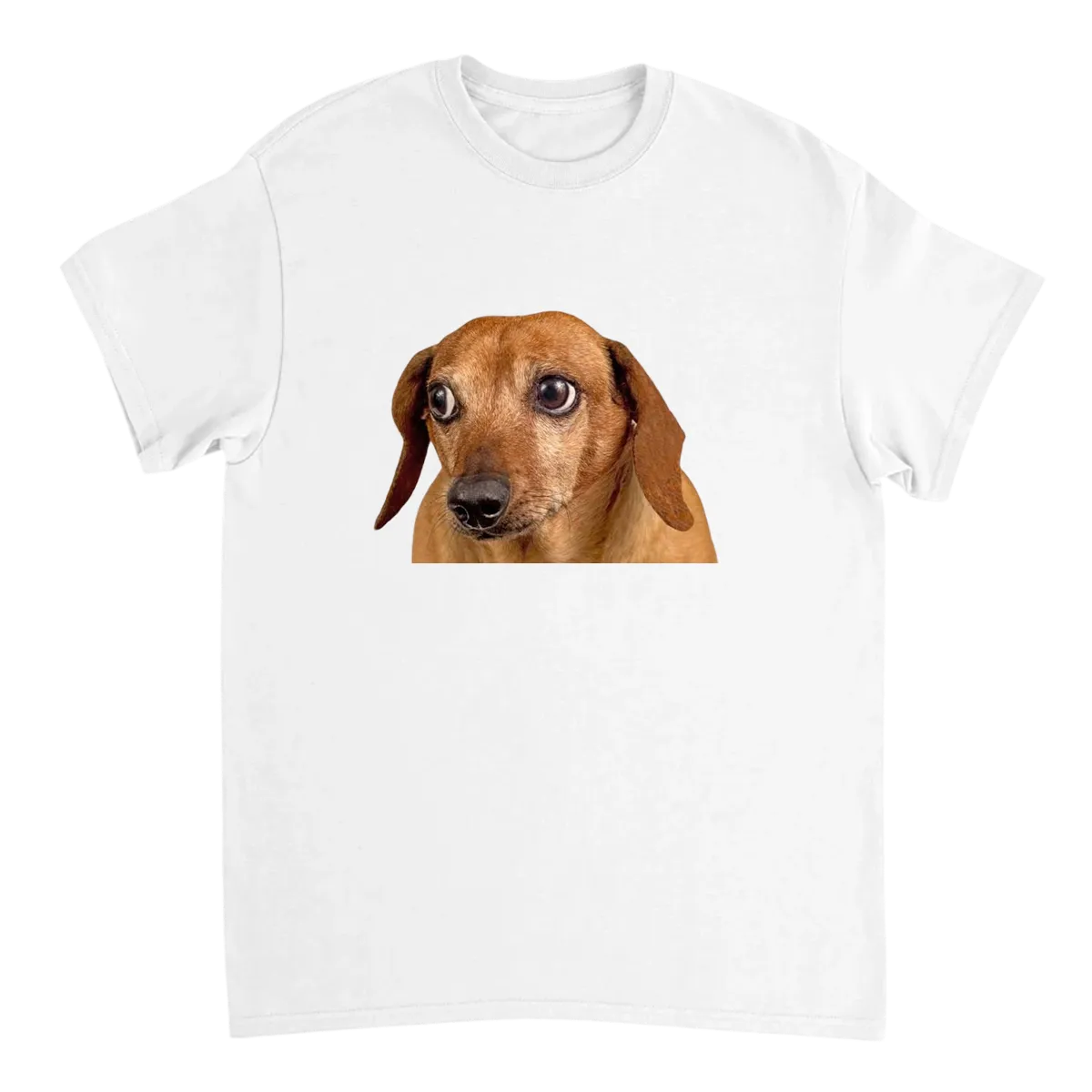 Concerned Dog Meme T-Shirt T-Shirts - White