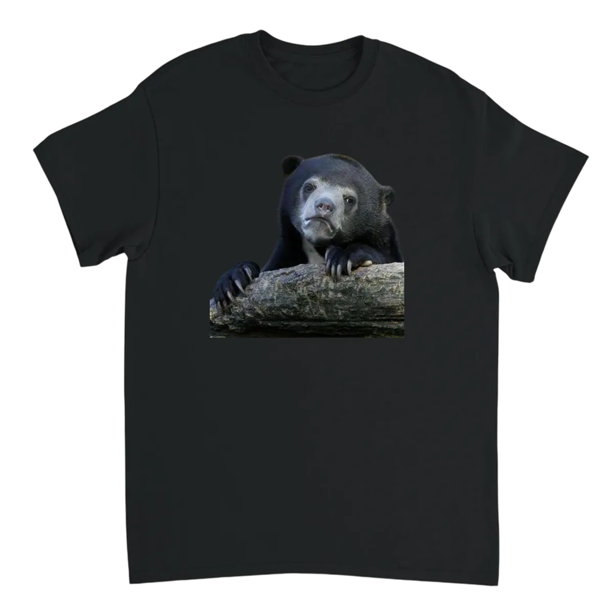 Confession Bear Meme Tee