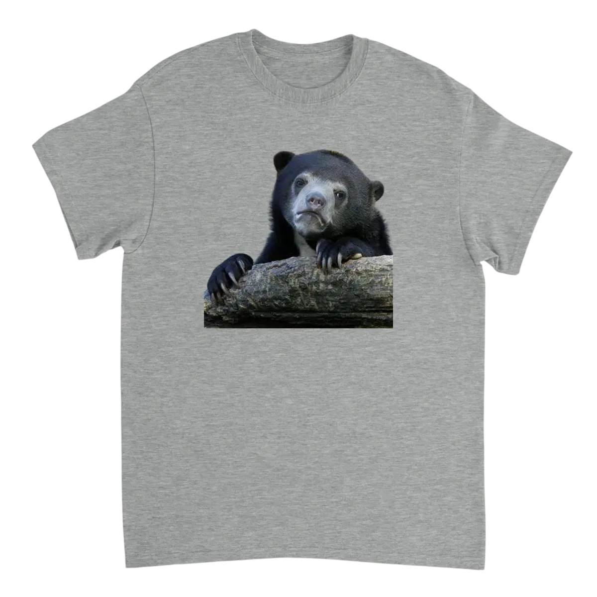 Confession Bear Meme Tee