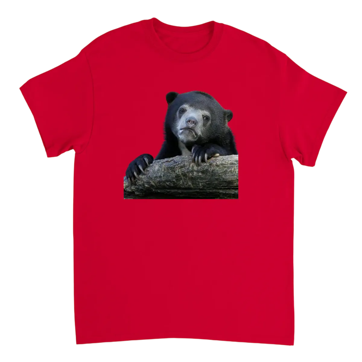 Confession Bear Meme Tee