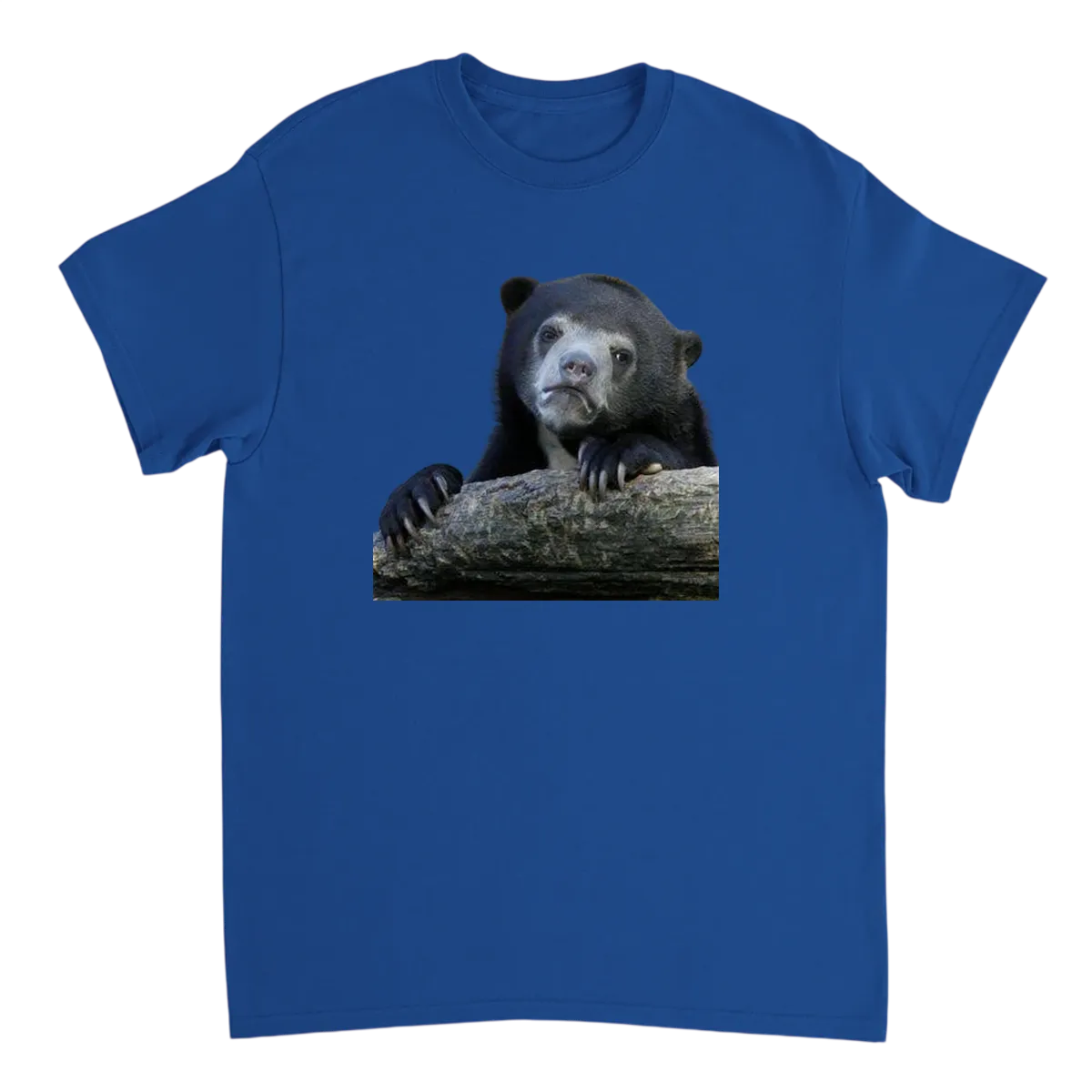 Confession Bear Meme Tee Black T-Shirts Photo 4