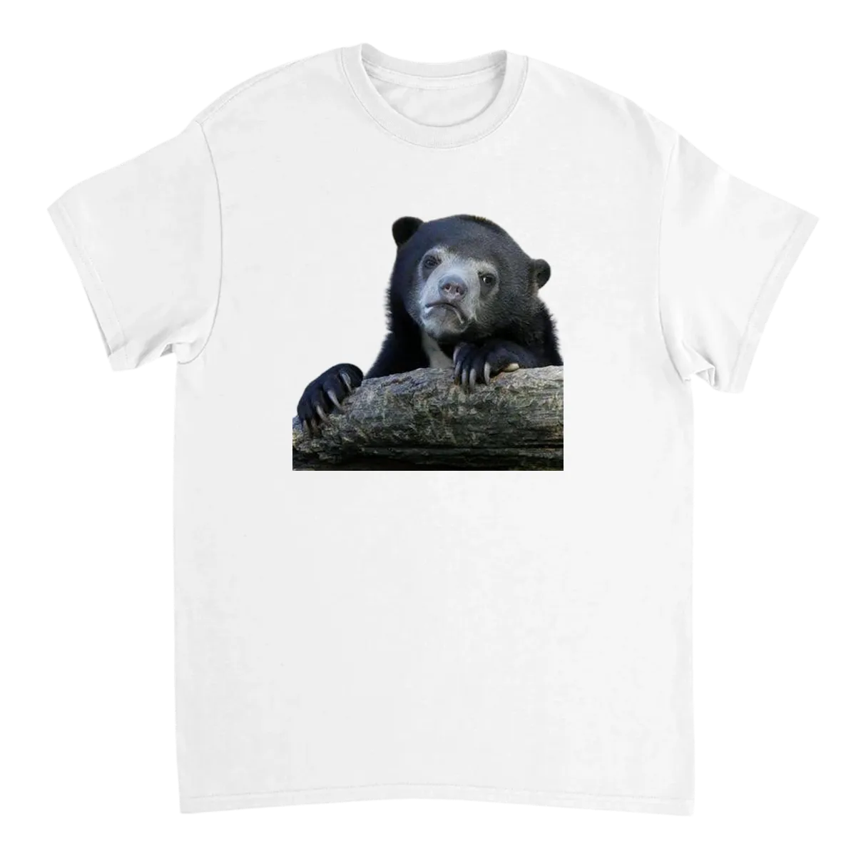 Confession Bear Meme Tee