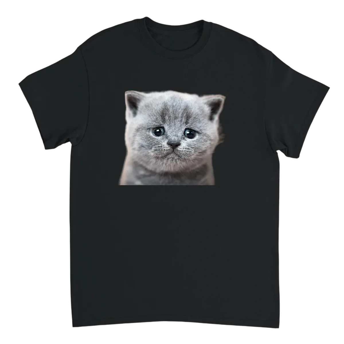 Crying Cat Meme Tee | Big Mood Energy