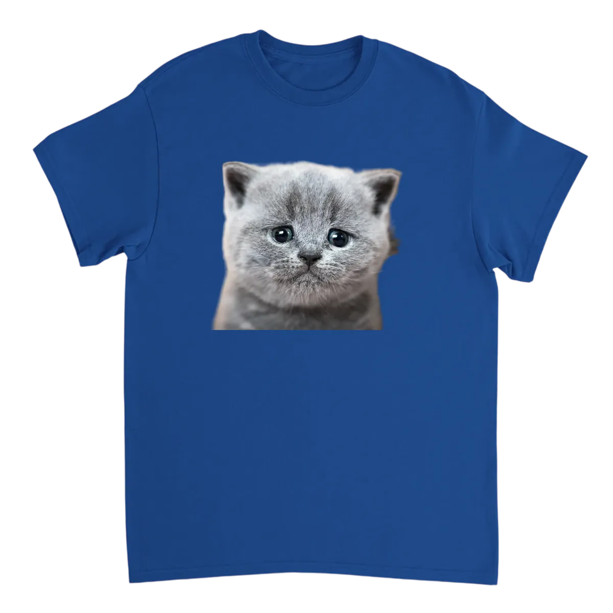 Crying Cat Meme Tee | Big Mood Energy T-Shirts - Royal