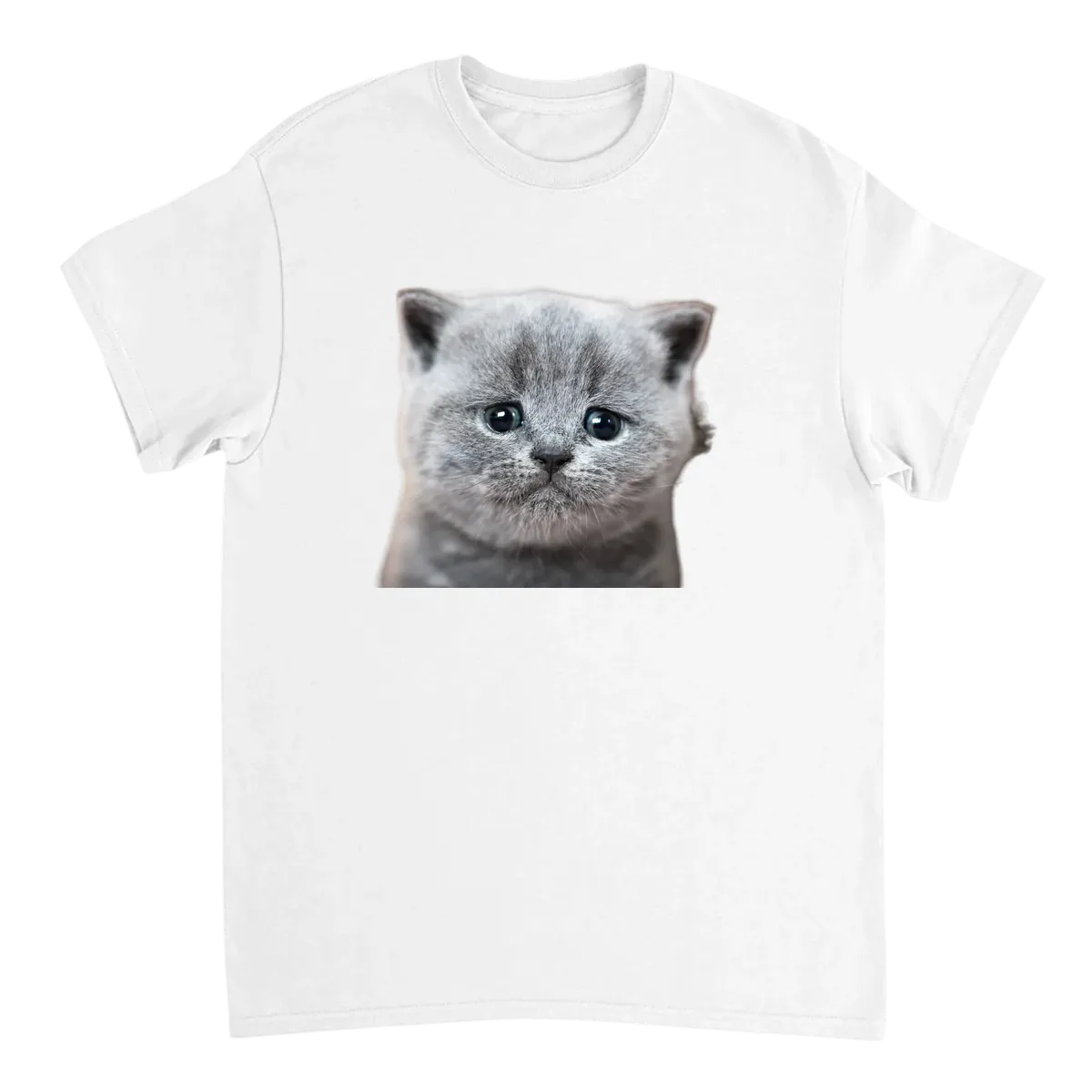 Crying Cat Meme Tee | Big Mood Energy T-Shirts - White