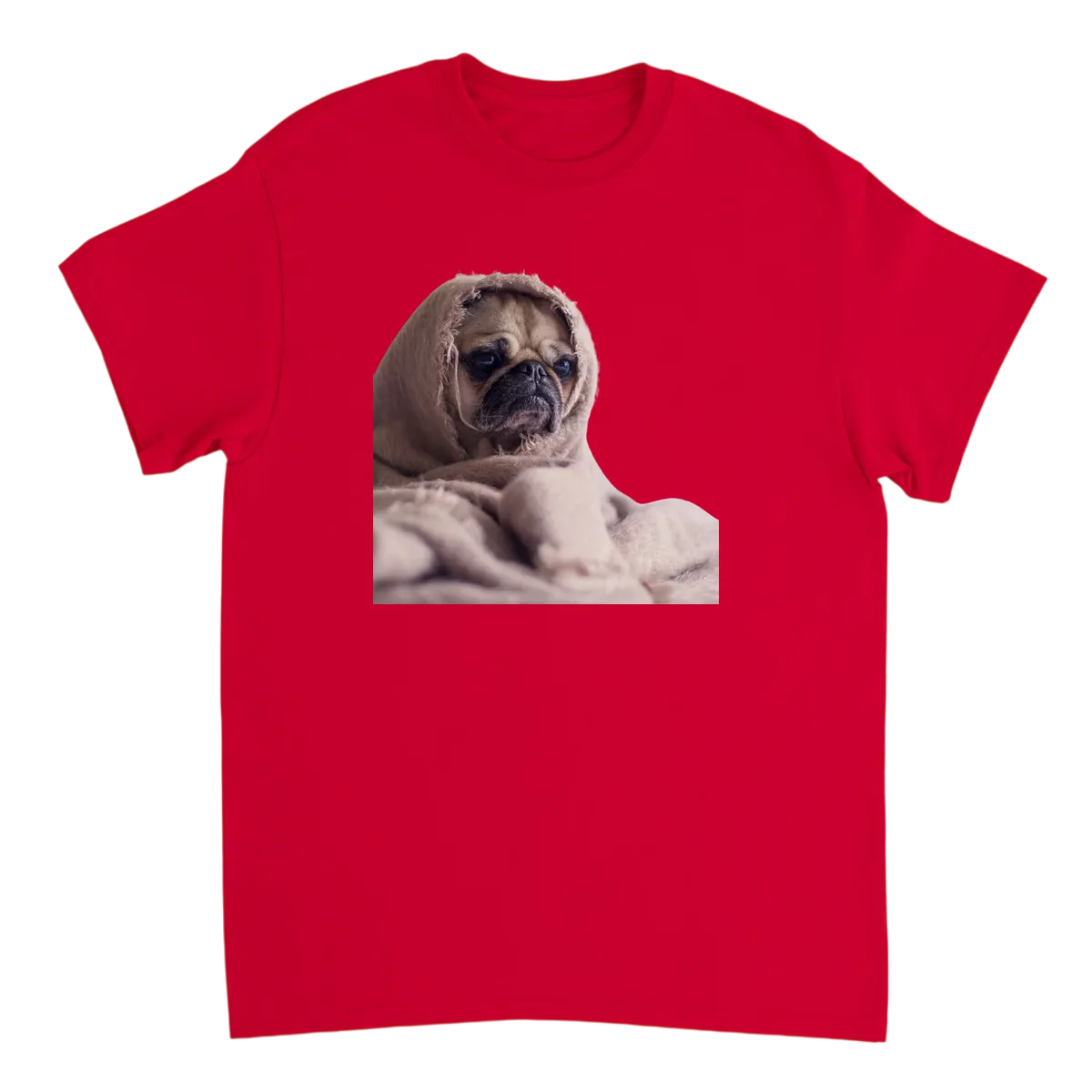 Dog in Blanket Meme T-Shirt White T-Shirts Photo 6