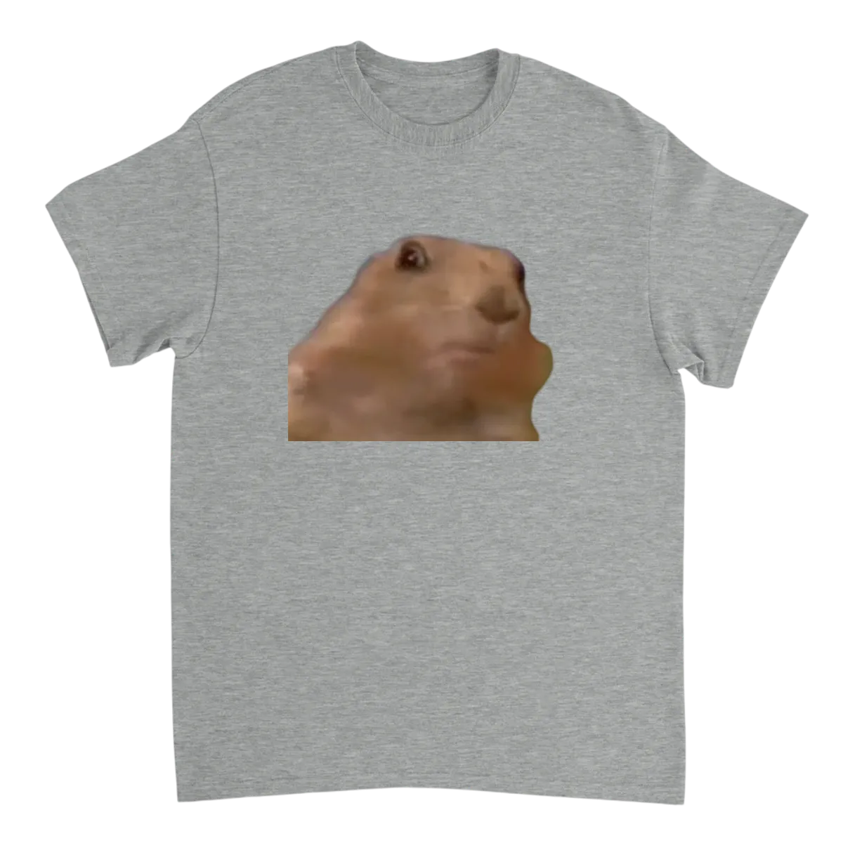 Dramatic Chipmunk Meme T-Shirt - OMG!