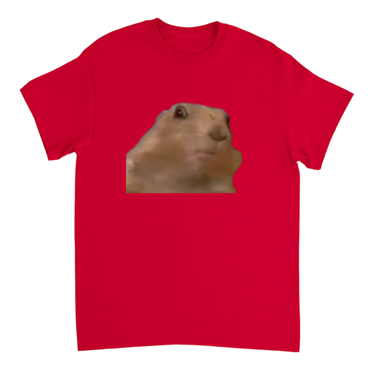Dramatic Chipmunk Meme T-Shirt - OMG!