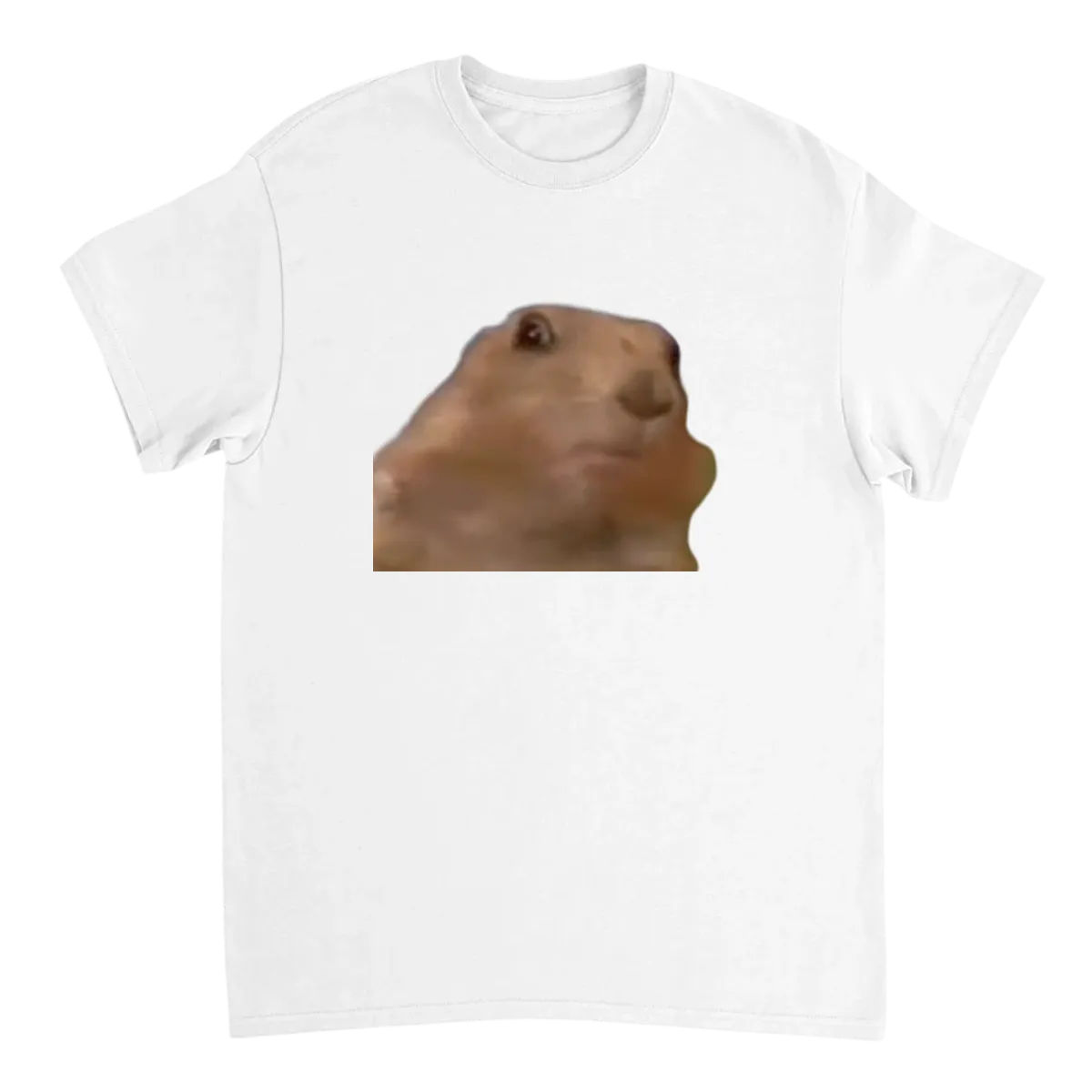 Dramatic Chipmunk Meme T-Shirt - OMG! T-Shirts - White