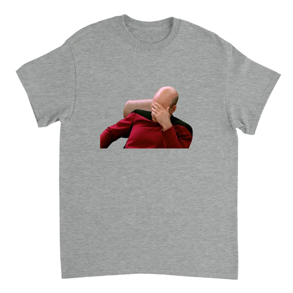 Facepalm Picard: My Mood, My Tee T-Shirts - Grey