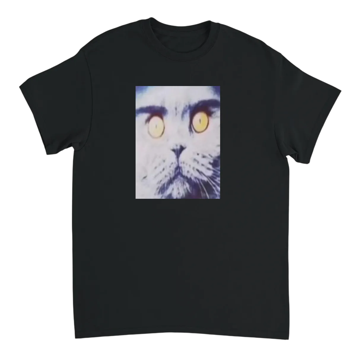 Folk Valley Cat: Hood Irony Meme Tee T-Shirts - Black