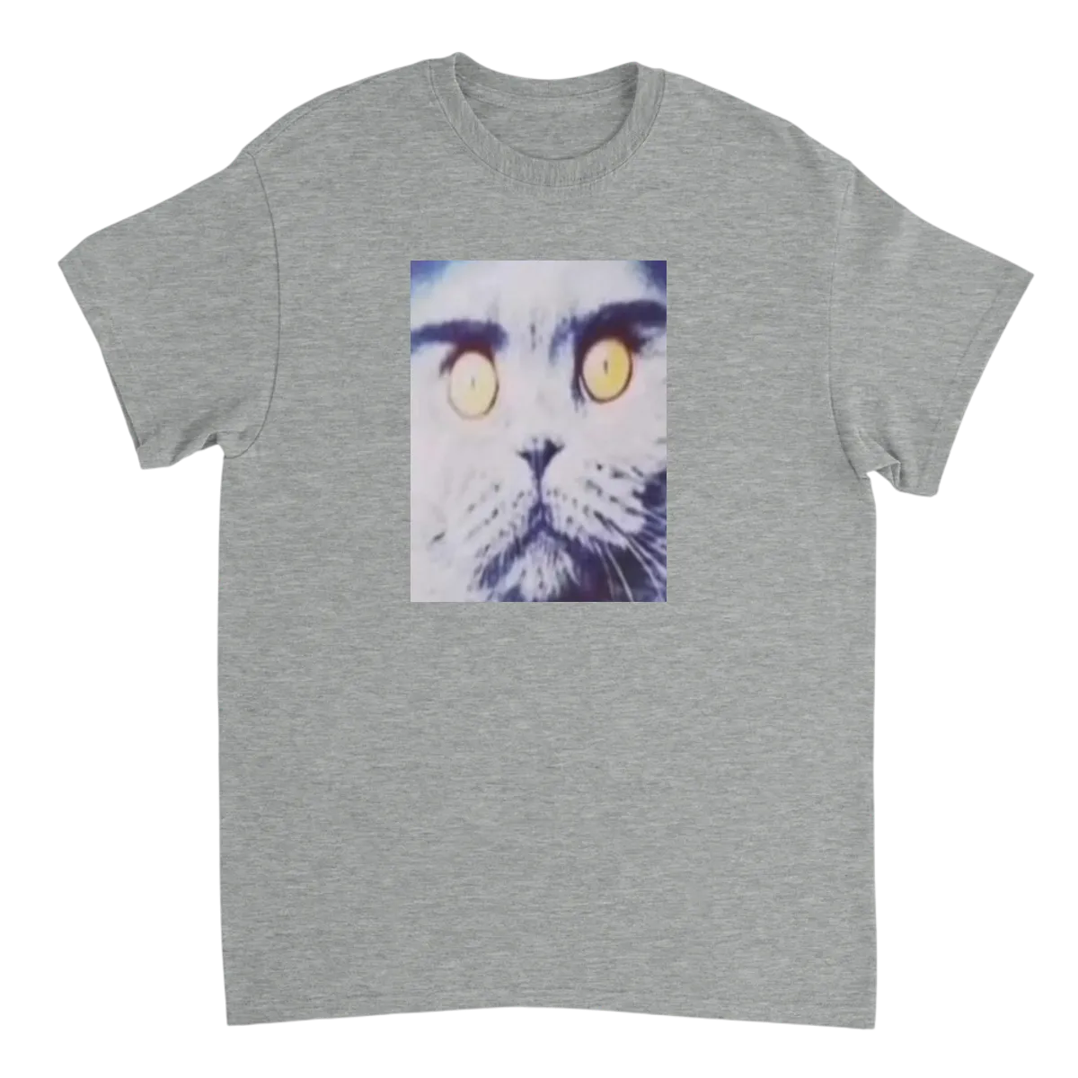 Folk Valley Cat: Hood Irony Meme Tee White T-Shirts Photo 4
