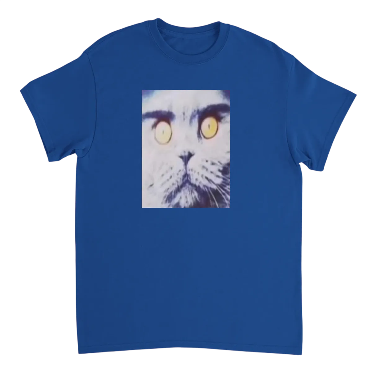 Folk Valley Cat: Hood Irony Meme Tee White T-Shirts Photo 5