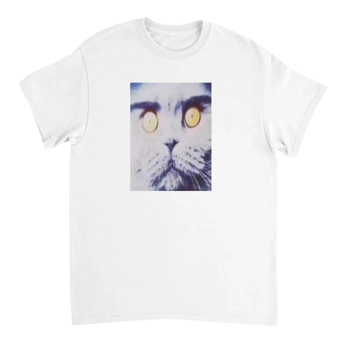 Folk Valley Cat: Hood Irony Meme Tee T-Shirts - White