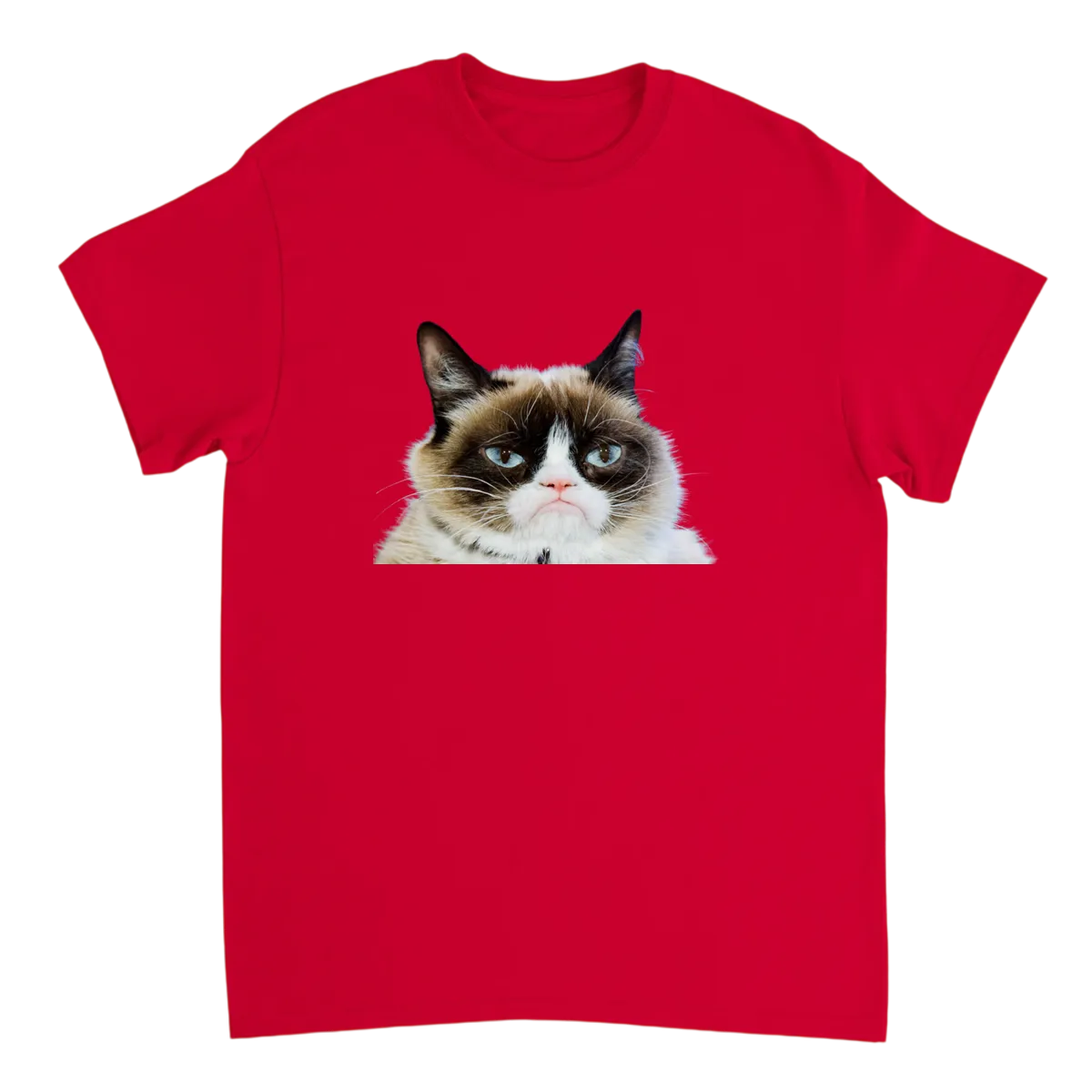 Grumpy Cat T-Shirt Black T-Shirts Photo 3