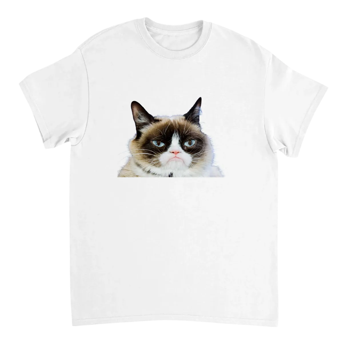 Grumpy Cat T-Shirt Black T-Shirts Photo 5