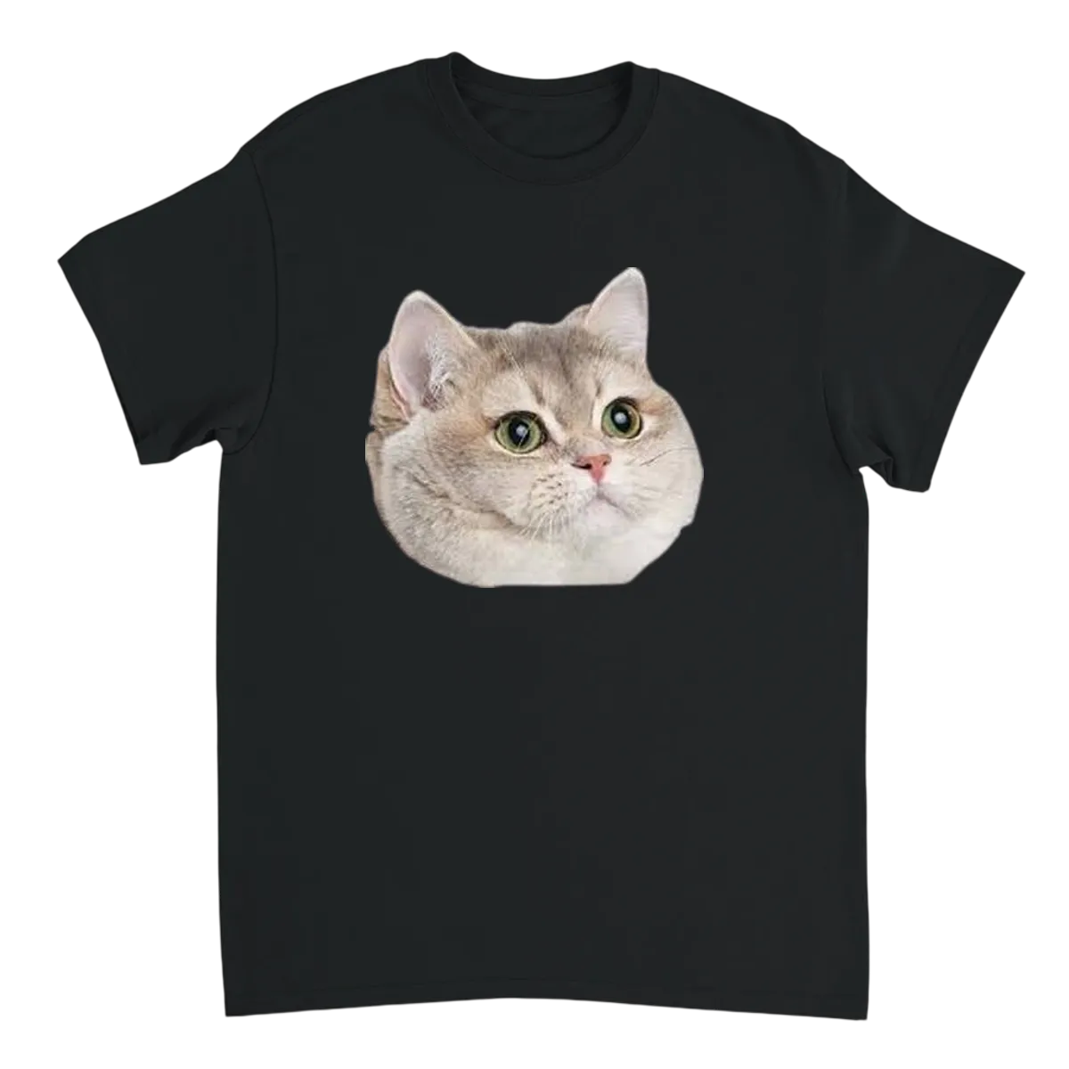 Heavy Breathing Cat Meme T-Shirt