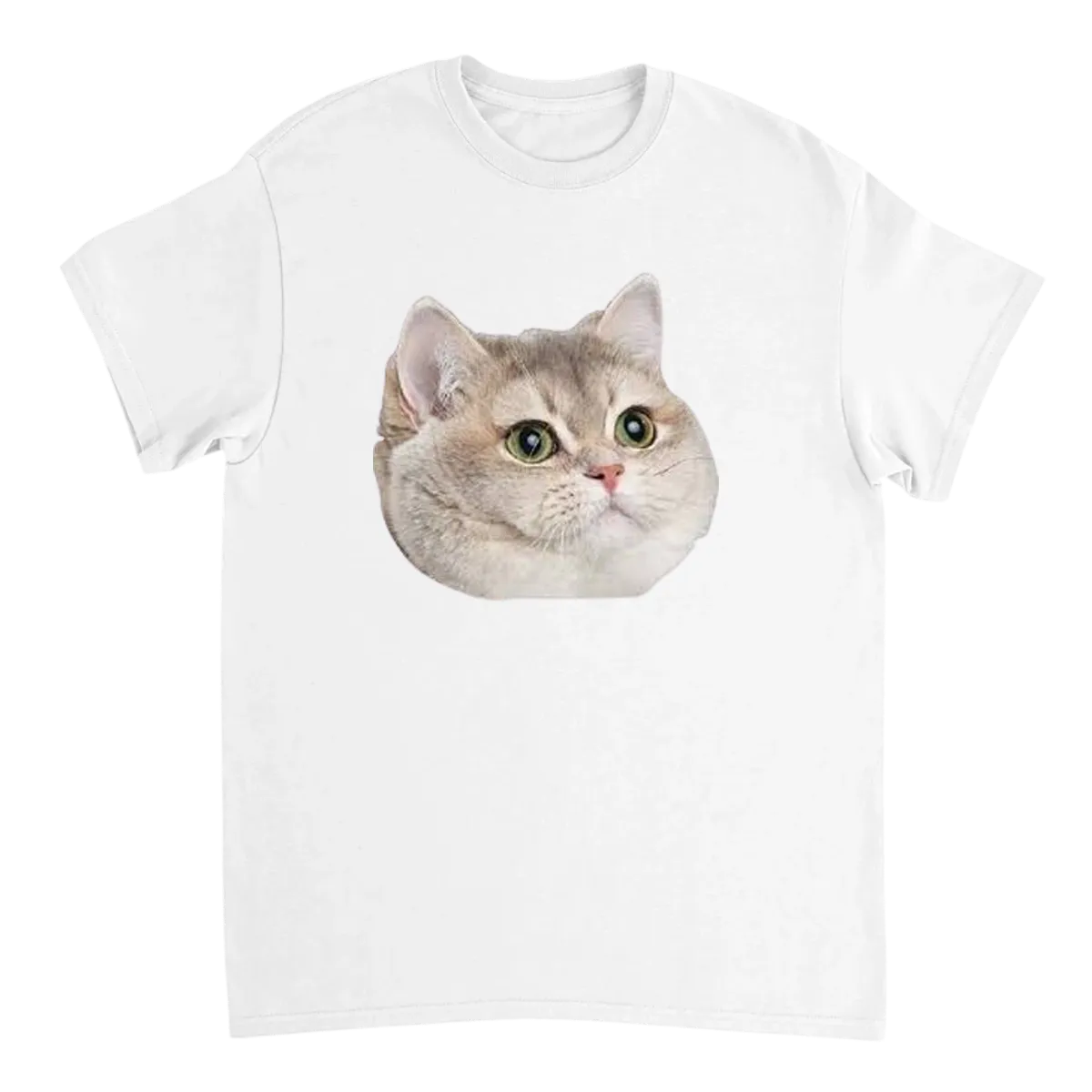 Heavy Breathing Cat Meme T-Shirt