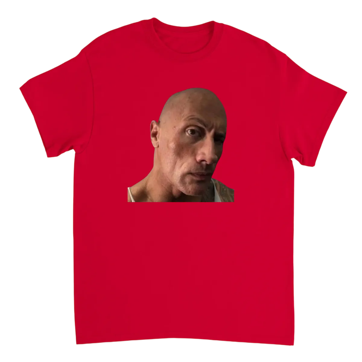 Iconic Raise Eyebrow Meme Tee