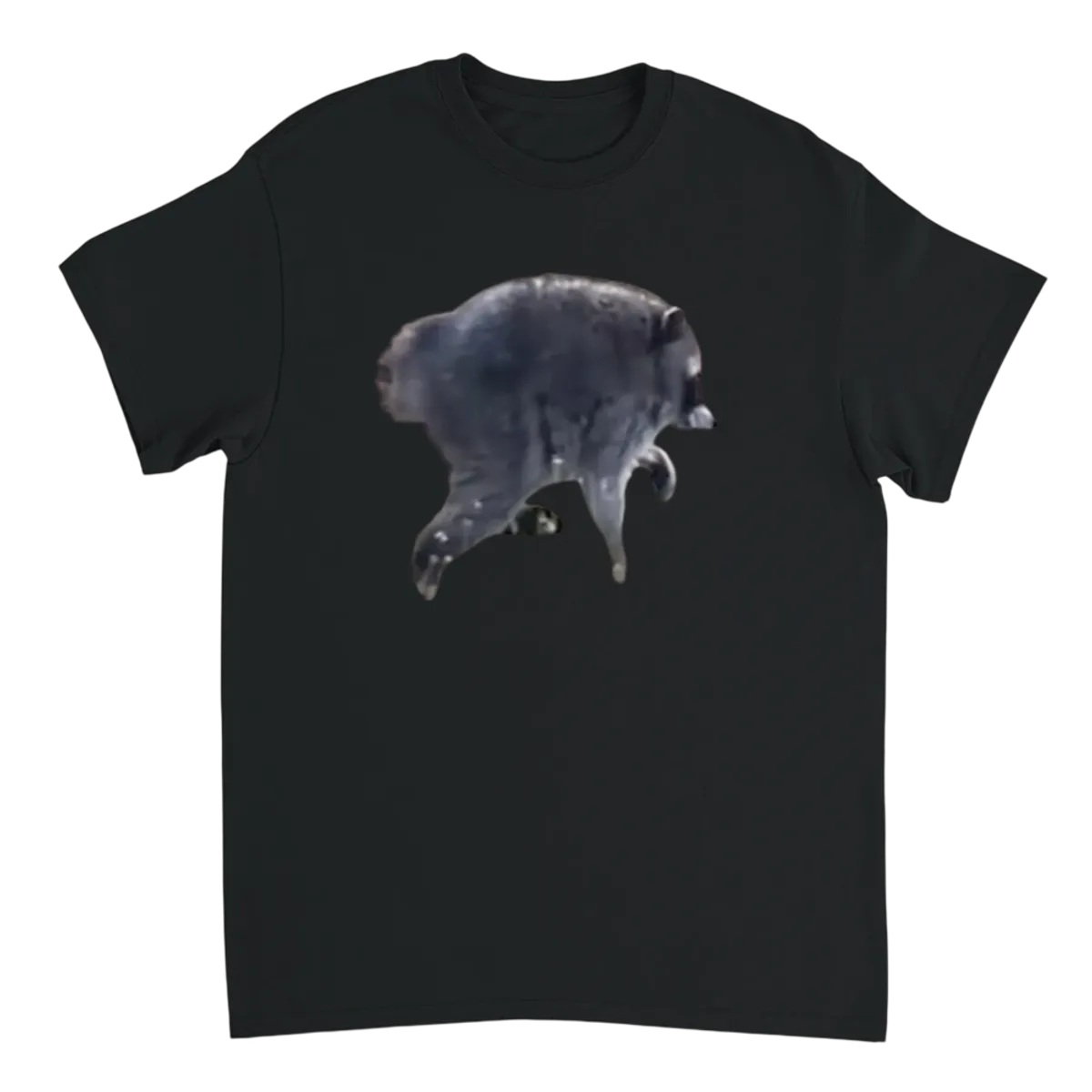 Jimothy Raccoon Meme T-Shirt - Viral Sensation T-Shirts - Black