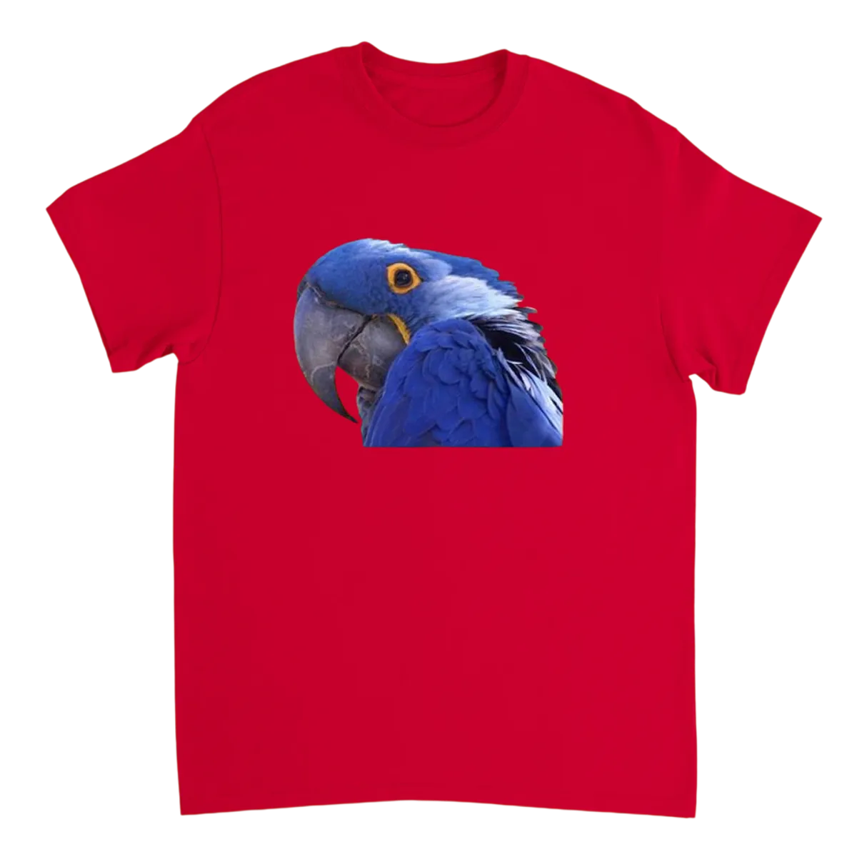 Paranoid Parrot Meme T-Shirt Black T-Shirts Photo 3
