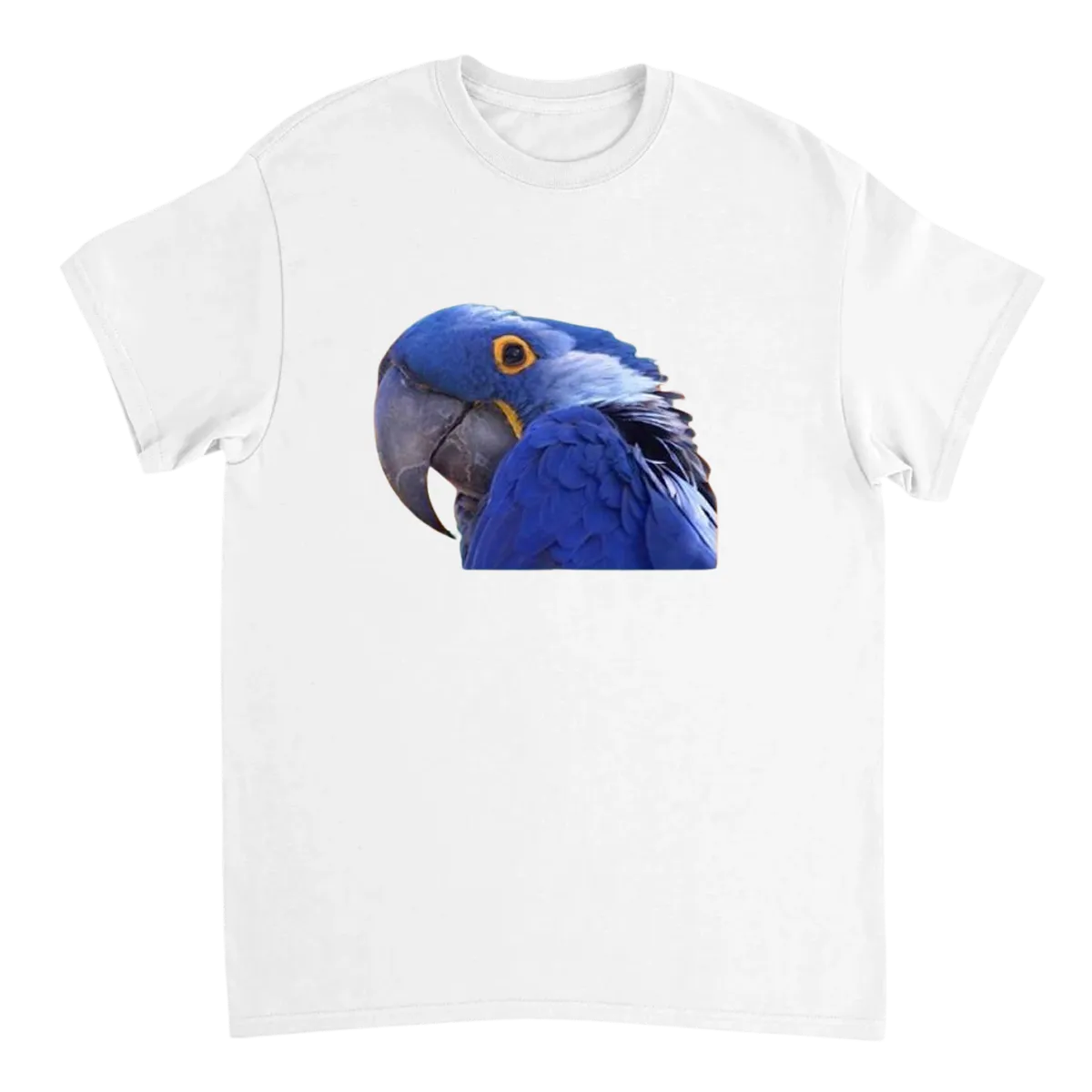 Paranoid Parrot Meme T-Shirt Black T-Shirts Photo 5