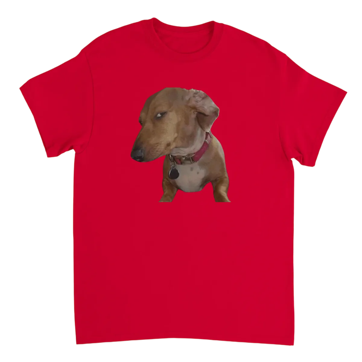 Side Eye Dog Tee: The Unimpressed Look